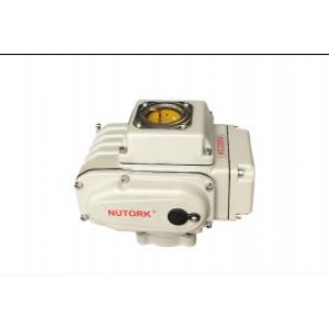 ĐỘNG CƠ ĐÓNG MỞ ĐIỆN TUYẾN TÍNH 4~20MA NTE05