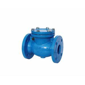 VAN 1 CHIỀU LÁ LẬT GANG NỐI BÍCH PN16