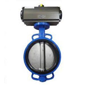 VAN BUỚM GANG ĐIỀU KHIỂN KHÍ NÉN